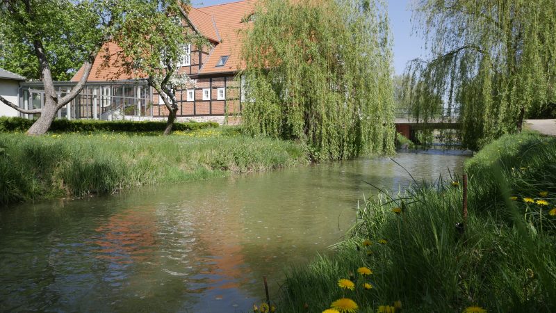 Fachwerkgebäude an einem Fluß mit Weiden