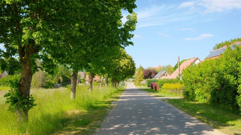 Dorfstraße mit Bäumen und Häusern